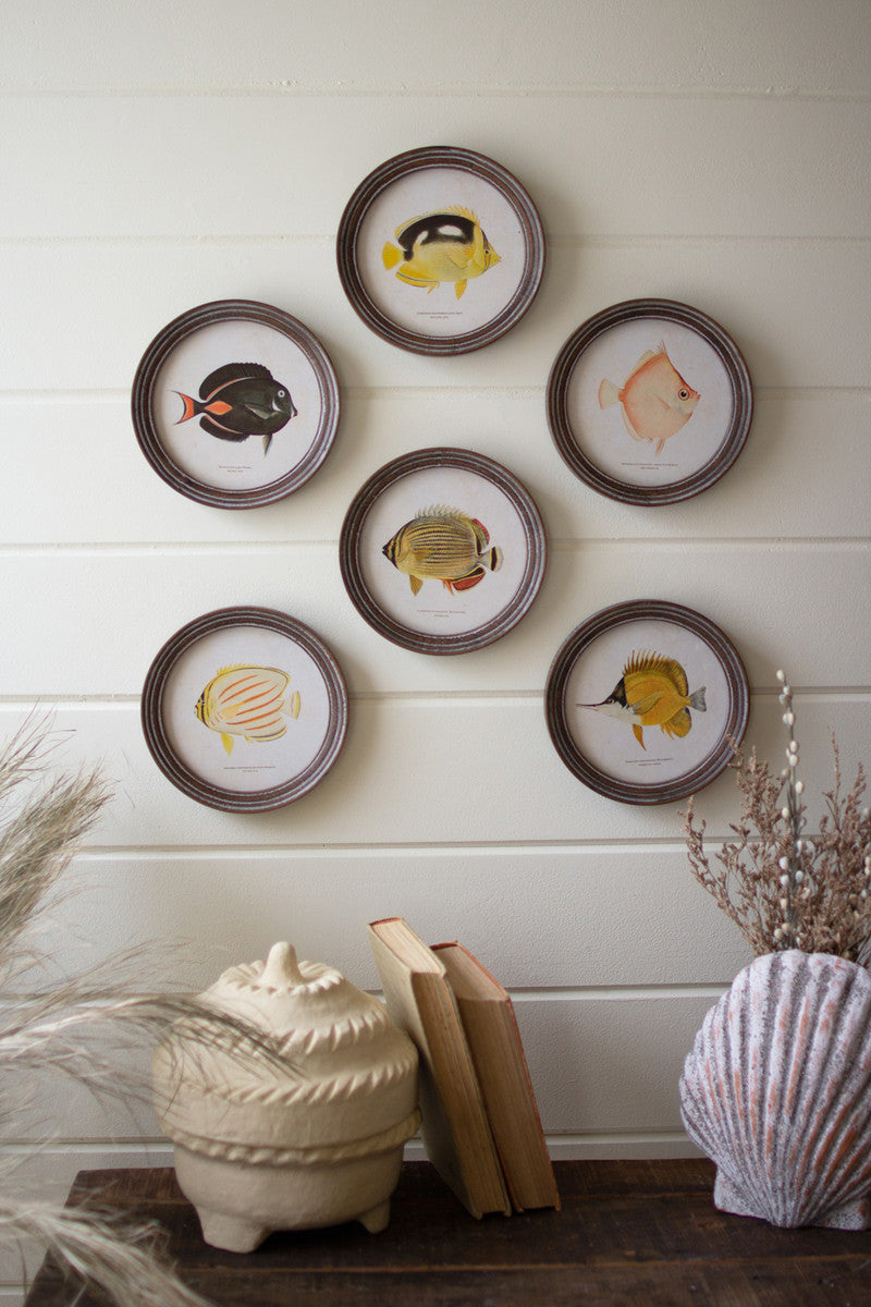 Round Framed Tropical Fish Prints Under Glass Set Of 6 By Kalalou | Wall Painting | Modishstore - 3