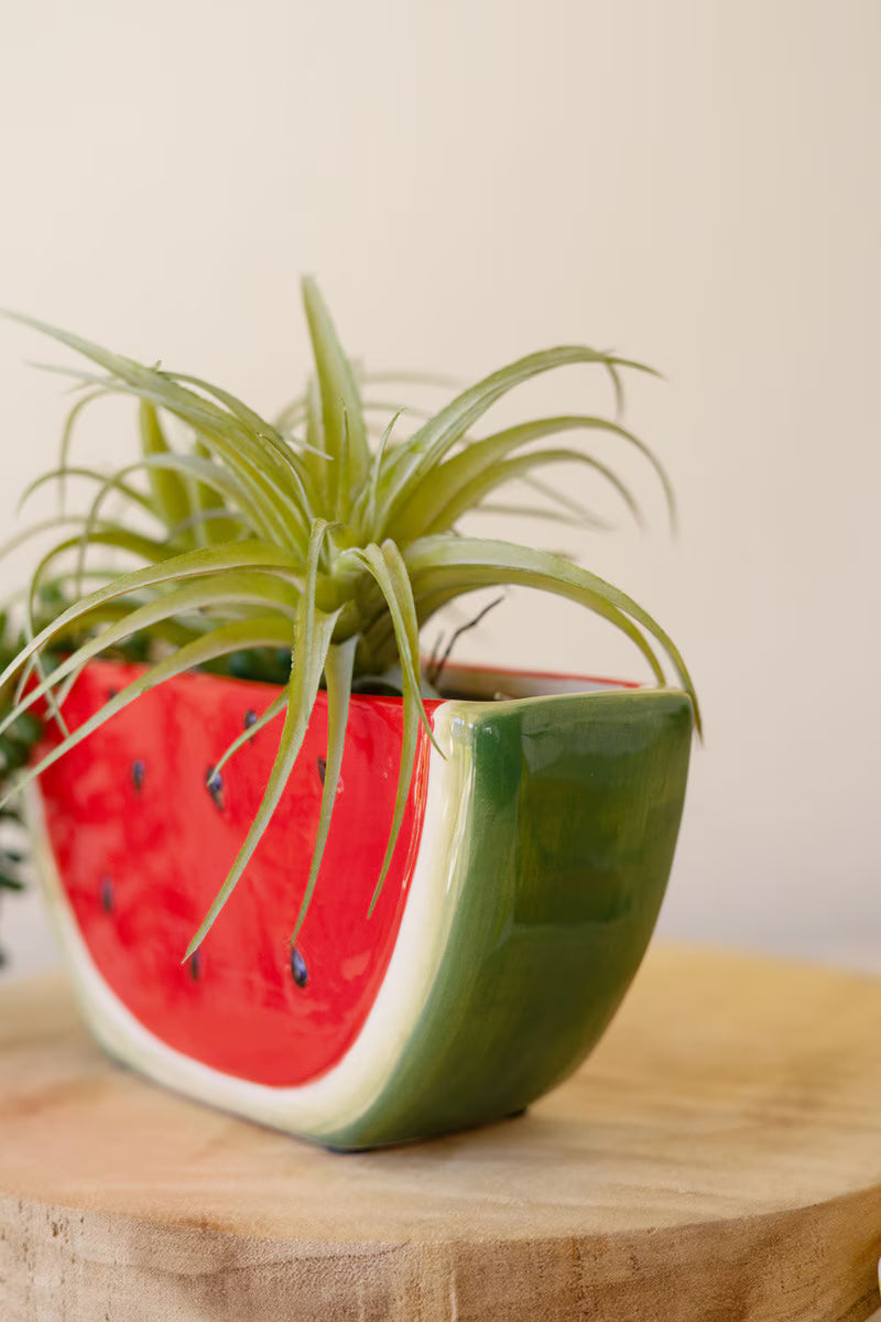 Ceramic Watermelon Slice Planter By Kalalou