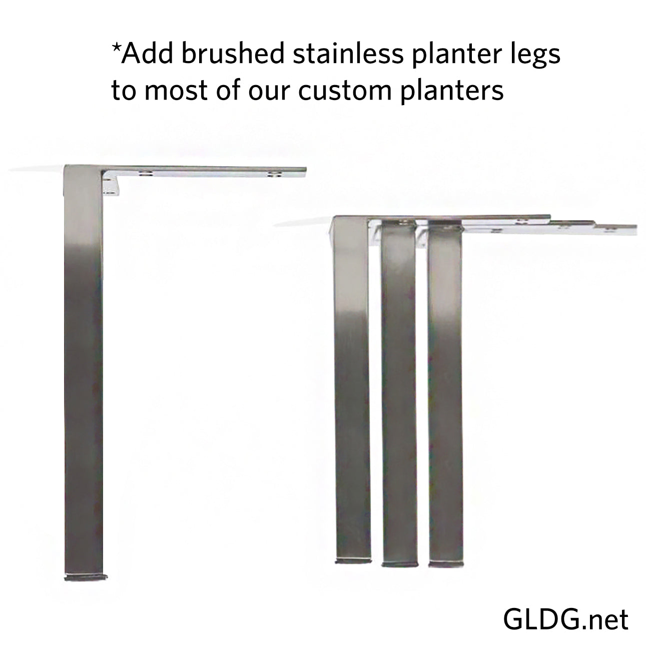 Sansevieria 33"H in Whitewash Rectangle Planter By Gold Leaf | Planters, Troughs & Cachepots | Modishstore - 8