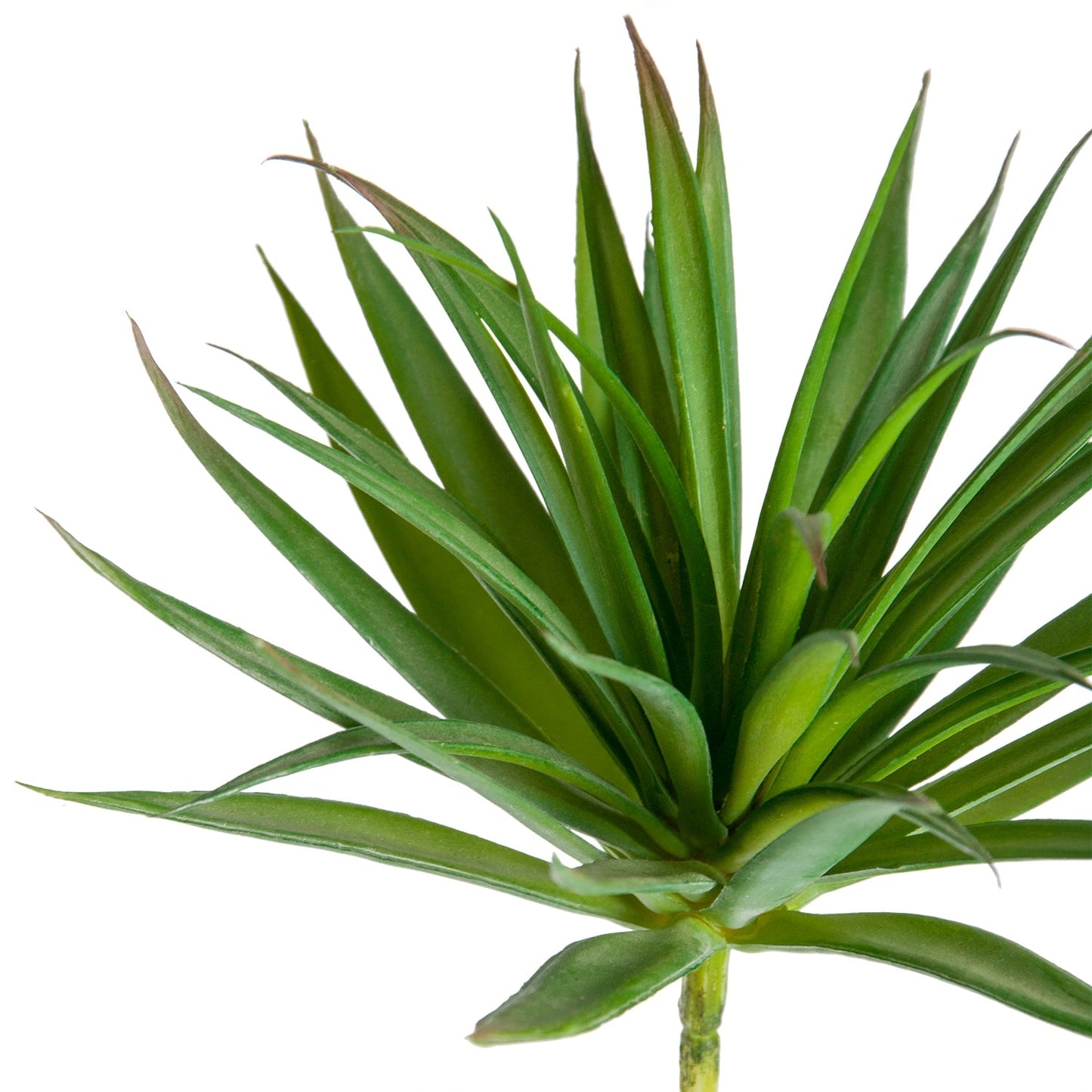 Yucca Mini 2 in Stainless Table Planter By Gold Leaf | Planters, Troughs & Cachepots | Modishstore - 4