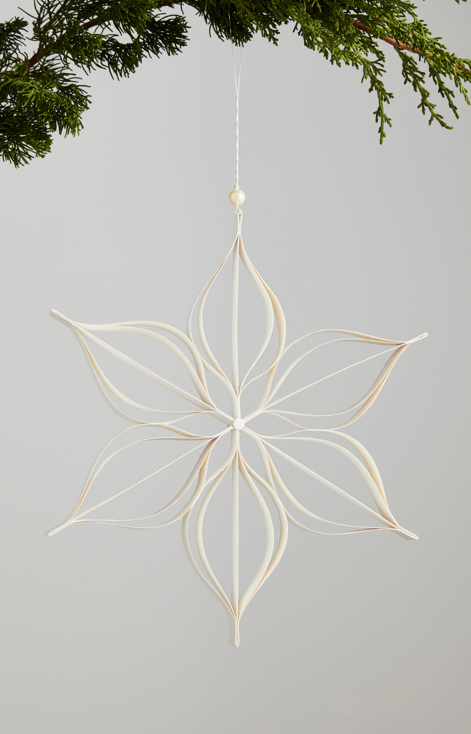 Shaula Ornament Set of 2 By Accent Decor | Ornaments | Modishstore - 3