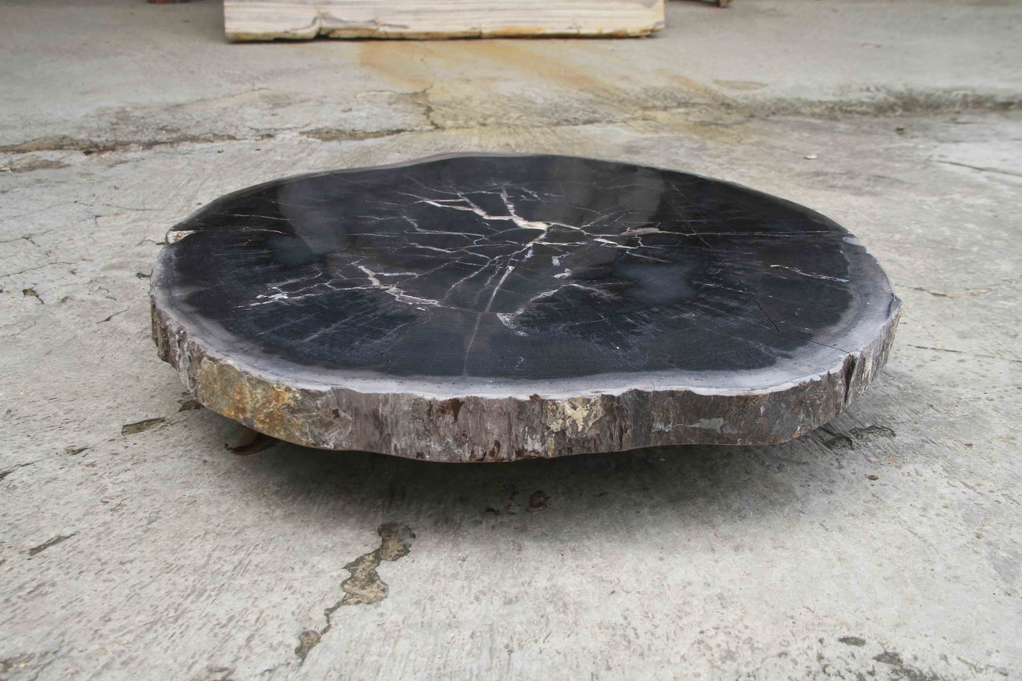 Petrified Wood Slab Coffee Table 26" x 26" x 2"H - PFT0338/25-6