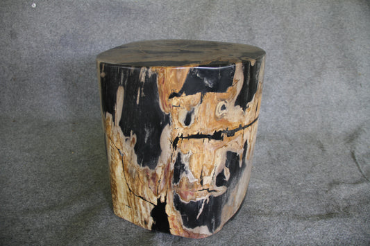 Petrified Wood Log Stool 18in(h)x 16in x 13in - 1005.21 | Petrified Wood Stools | Modishstore
