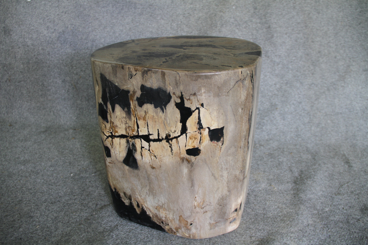 Petrified Wood Log Stool 18in(h)x 16in x 13in - 1005.21 | Petrified Wood Stools | Modishstore-3
