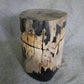 Petrified Wood Log Stool 18in(h)x 16in x 13in - 1005.21 | Petrified Wood Stools | Modishstore-2