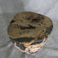 Petrified Wood Log Stool 18in(h)x 16in x 13in - 1005.21 | Petrified Wood Stools | Modishstore-4