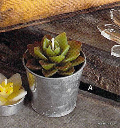 Roost Potted Succulent Candles