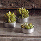 Roost Succulent Tealights