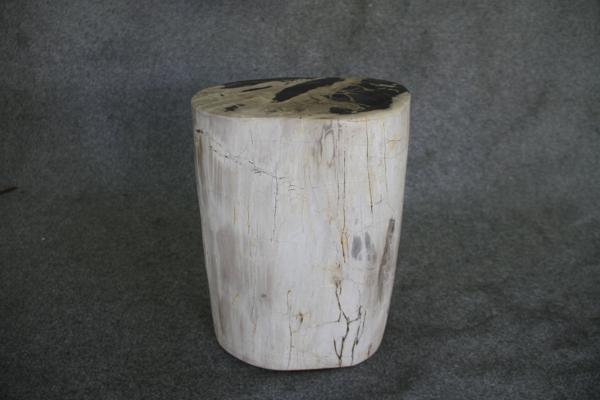 Petrified Wood Log Stool 12 x 9 x 17 - 1402.21 | Petrified Wood Stools | Modishstore-4