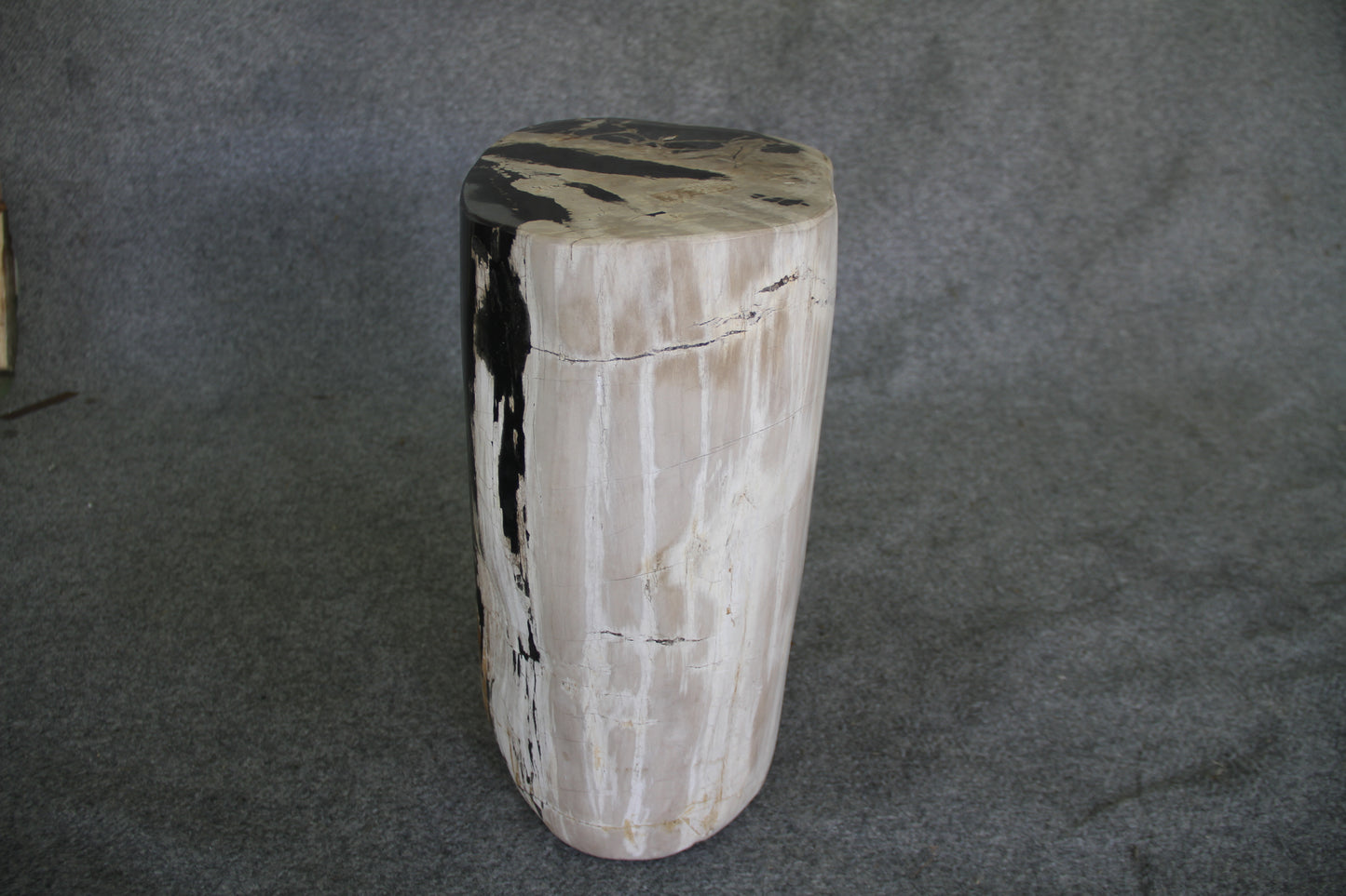 Petrified Wood Log Stool 12 x 9 x 17 - 1402.21 | Petrified Wood Stools | Modishstore-2