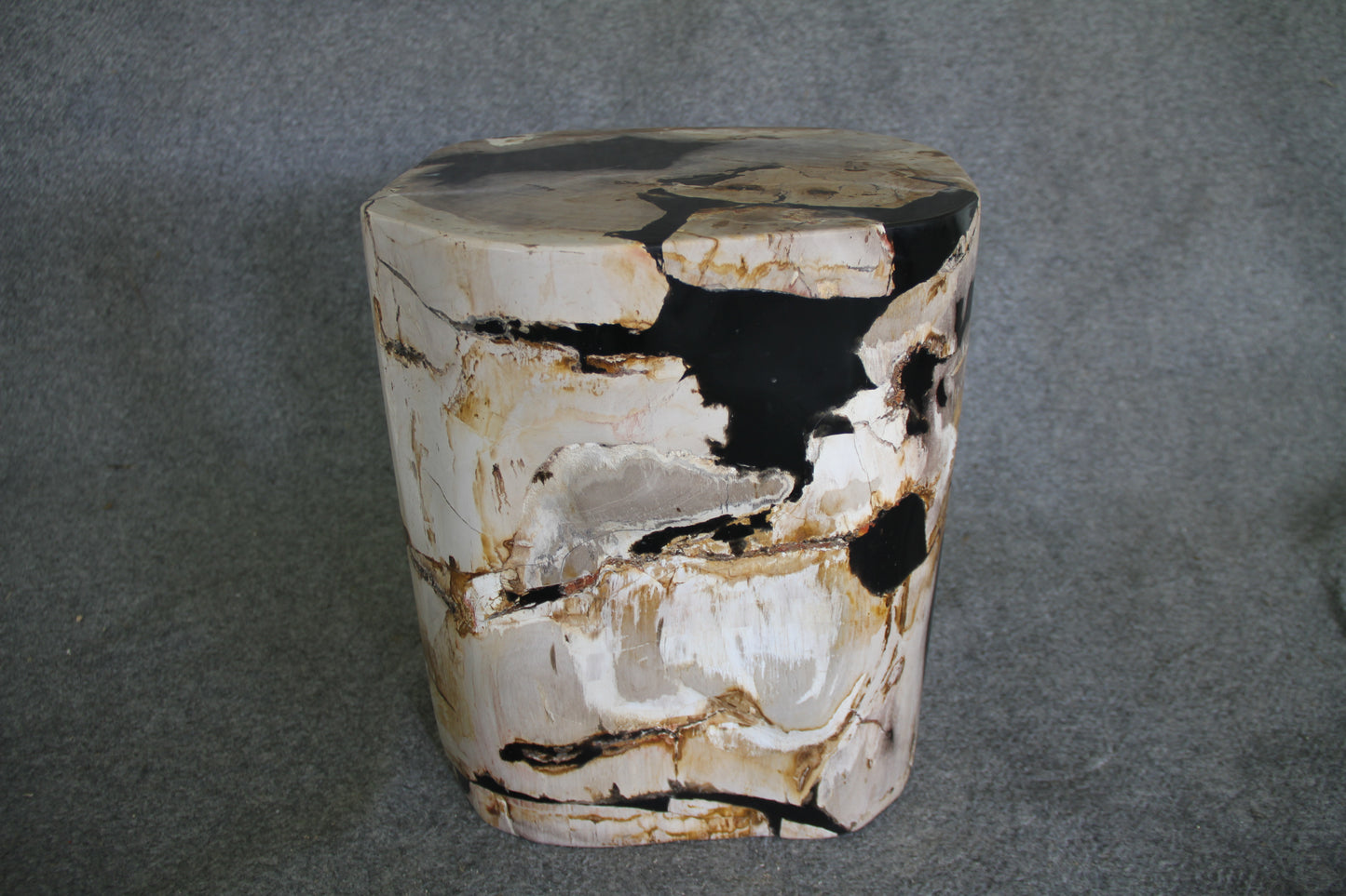 Petrified Wood Log Stool 16in(h) x 13in x 12in - 1534.22 | Petrified Wood Stools | Modishstore-5