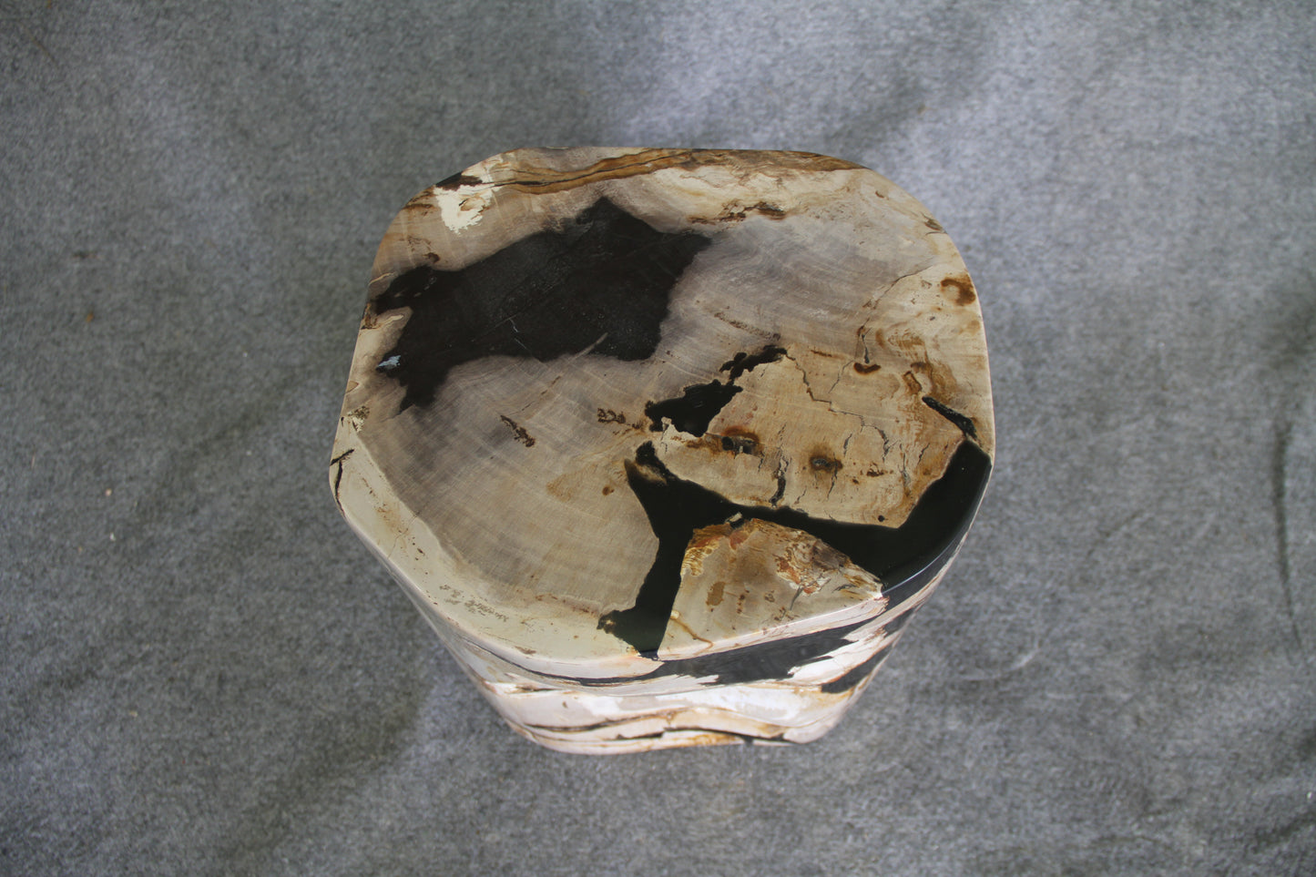 Petrified Wood Log Stool 16in(h) x 13in x 12in - 1534.22 | Petrified Wood Stools | Modishstore-4
