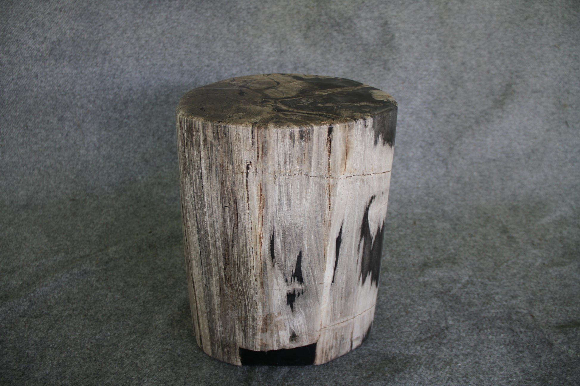 Petrified Wood Log Stool 11" x 11" 16" 1682.21 | Petrified Wood Stools | Modishstore-2