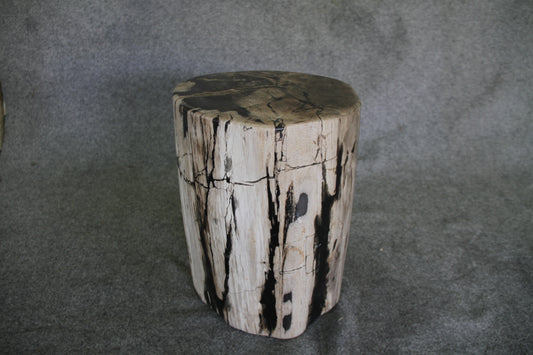 Petrified Wood Log Stool 11" x 11" 16" 1682.21 | Petrified Wood Stools | Modishstore-