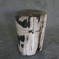 Petrified Wood Log Stool 11" x 11" 16" 1682.21 | Petrified Wood Stools | Modishstore-4