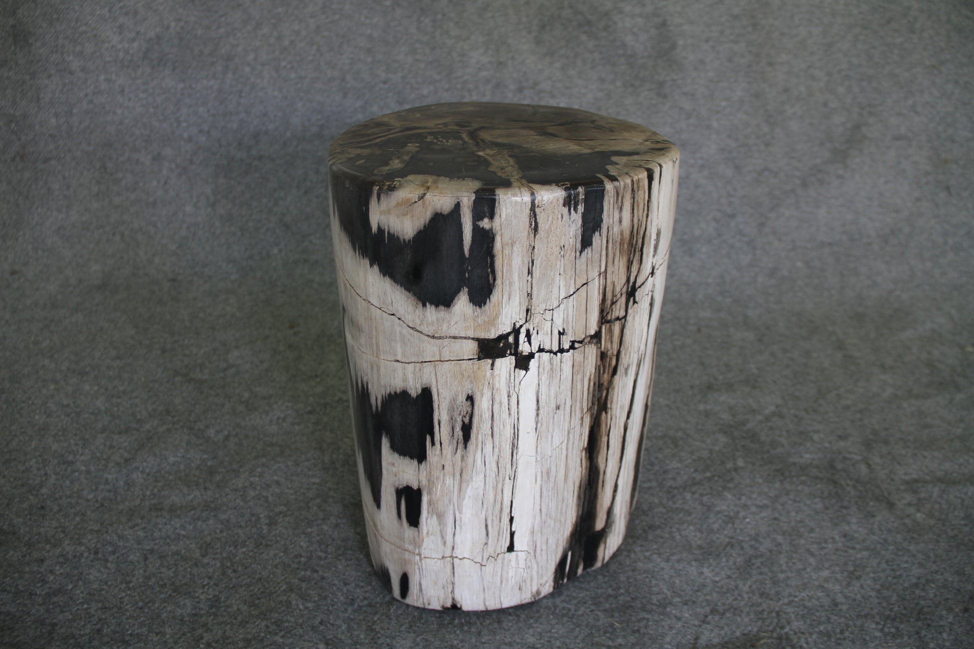 Petrified Wood Log Stool 11" x 11" 16" 1682.21 | Petrified Wood Stools | Modishstore-4