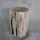 Petrified Wood Log Stool 11" x 11" 16" 1682.21 | Petrified Wood Stools | Modishstore-3