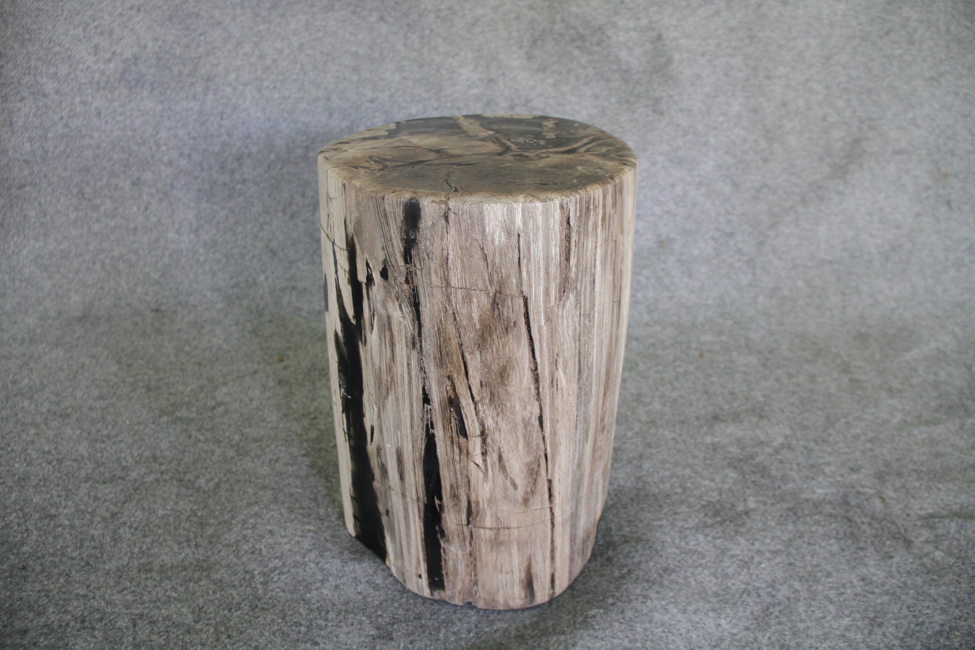 Petrified Wood Log Stool 11" x 11" 16" 1682.21 | Petrified Wood Stools | Modishstore-3