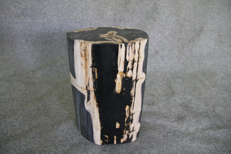 Petrified Wood Log Stool 11in x 8in x 16in (h) - 1687.21 | Petrified Wood Stools | Modishstore