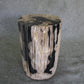 Petrified Wood Log Stool 11in x 13in x 16in (h) - 1985.21 | Petrified Wood Stools | Modishstore