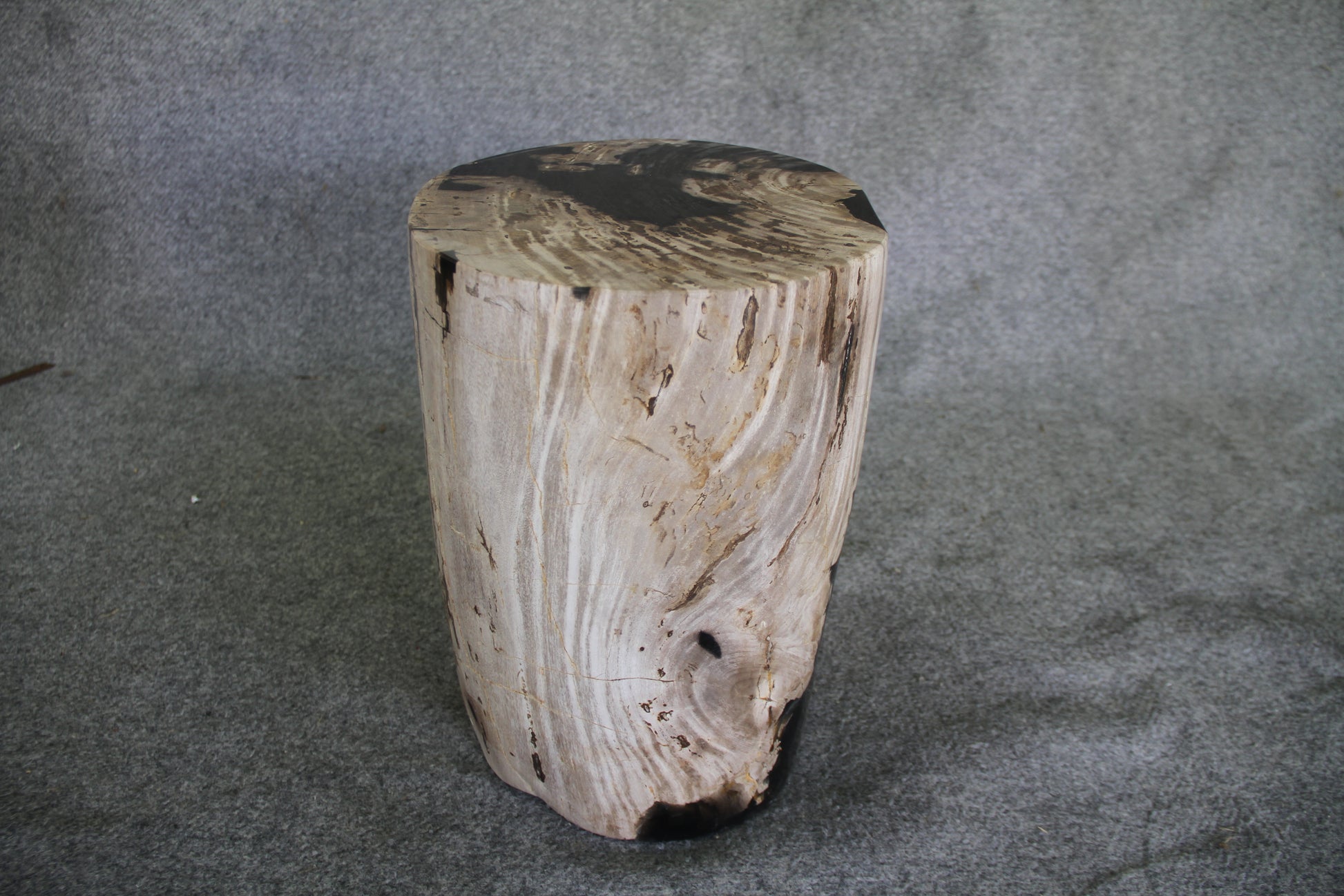 Petrified Wood Log Stool 11in x 13in x 16in (h) - 1985.21 | Petrified Wood Stools | Modishstore-3