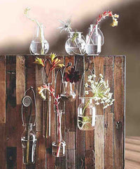 Metal Foliage Glass Hanging Vases, Set of 8