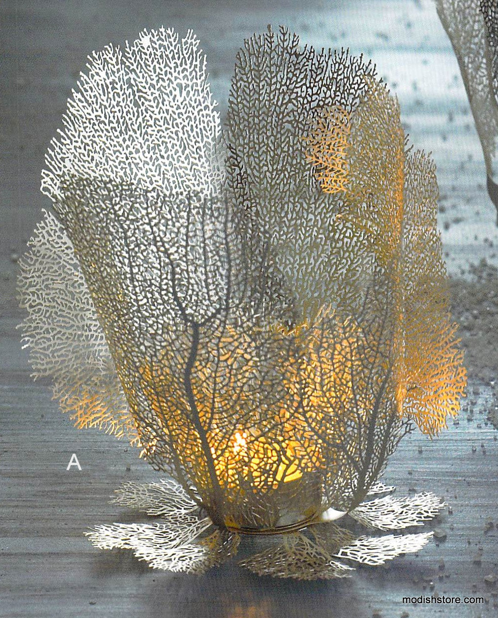 Roost Sea Fan Filigree Collection