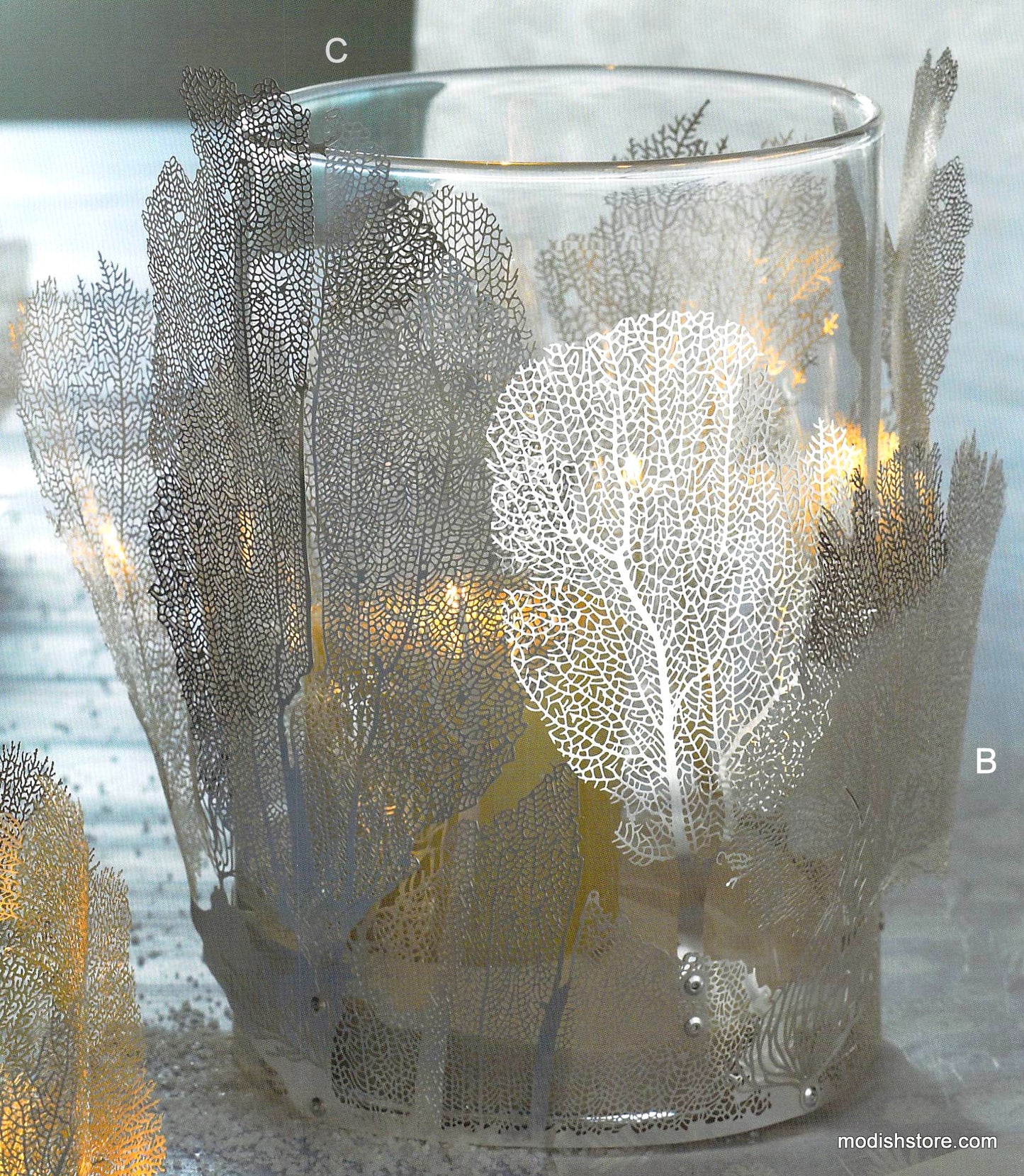 Roost Sea Fan Filigree Collection