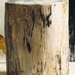 Roost Petrified Wood Stools-3