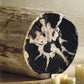 Roost Petrified Wood Stools-5