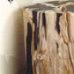 Roost Petrified Wood Stools-6