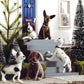 Roost Downtown Hound Ornaments - Set Of 5