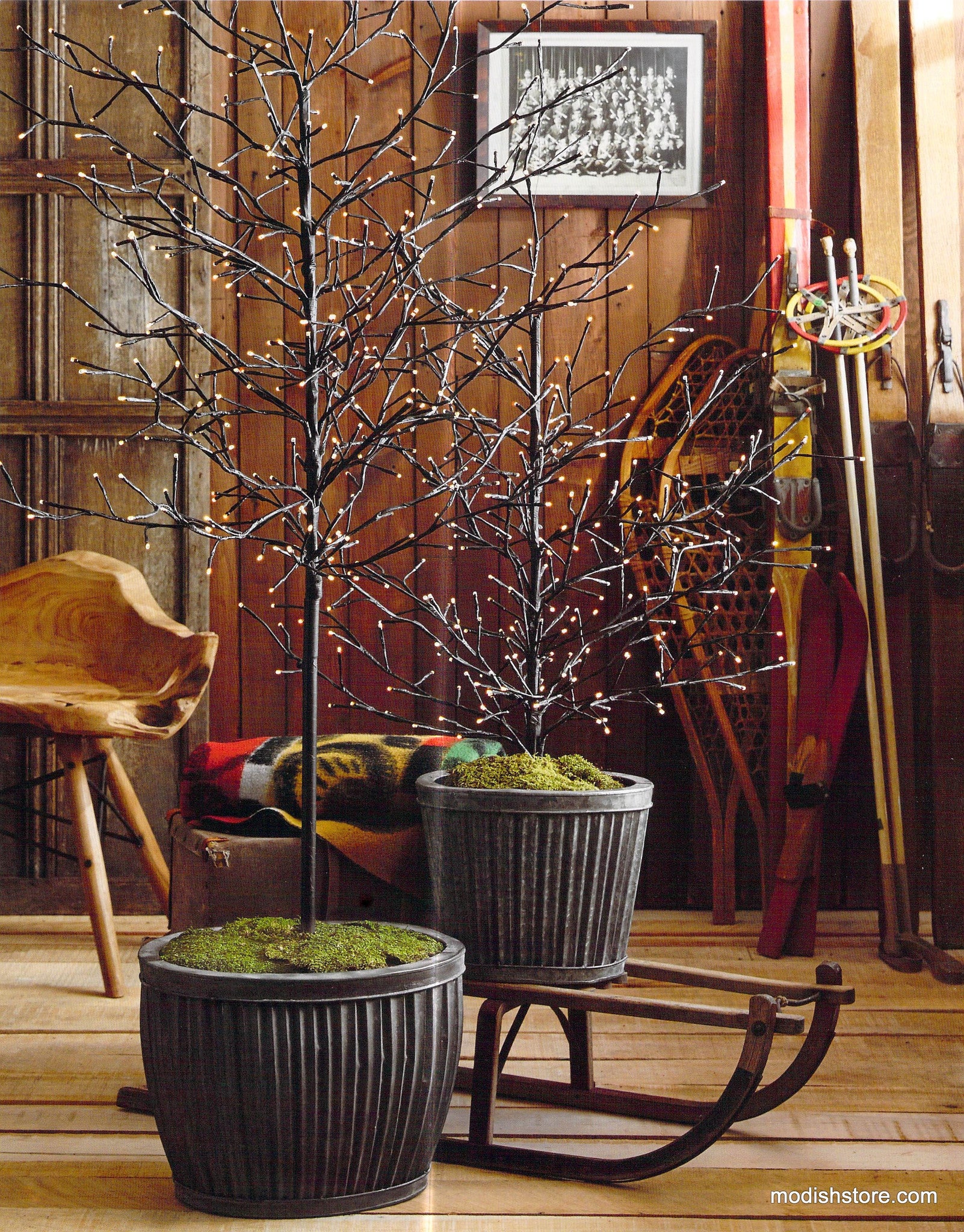 lighted potted plants Lighted Branchy Trees & Galveston Oval Planters