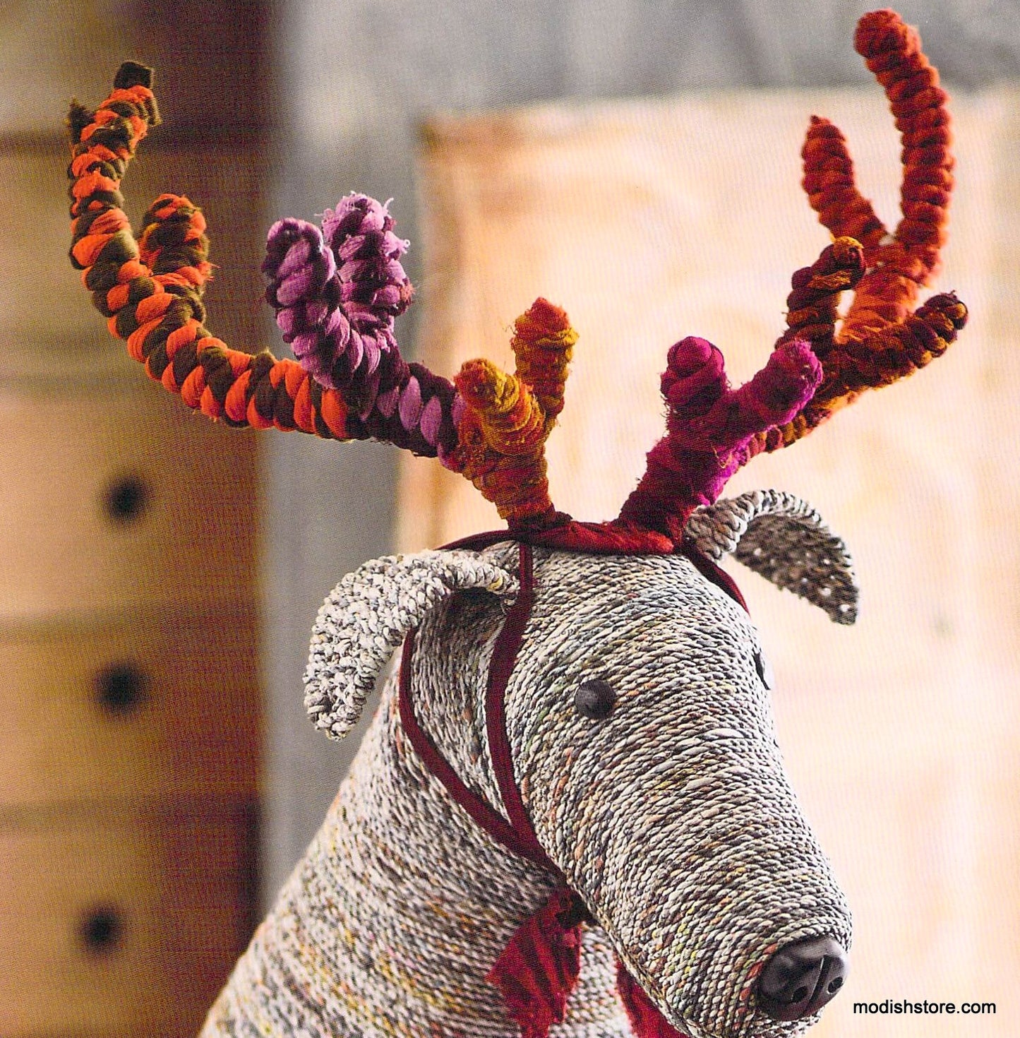 Roost Recycled Rover with Rack