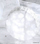 Roost Selenite Ice Collection