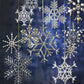 Roost Victorian Snowflake, Set/5 | ModishStore | Holiday