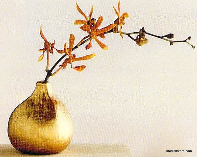 Roost Golden Fig Vases With Kiri Gift Box - Set Of 3