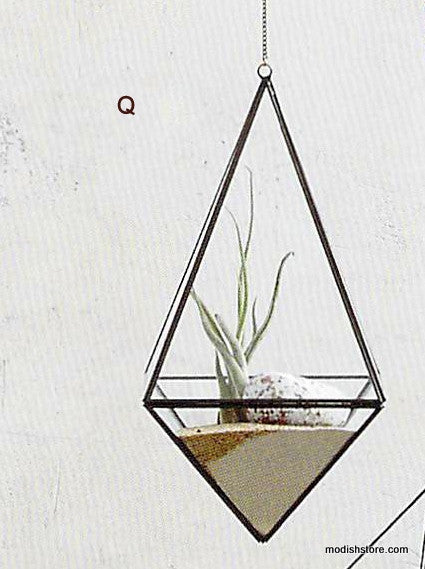 Roost Geo Hanging Terrariums
