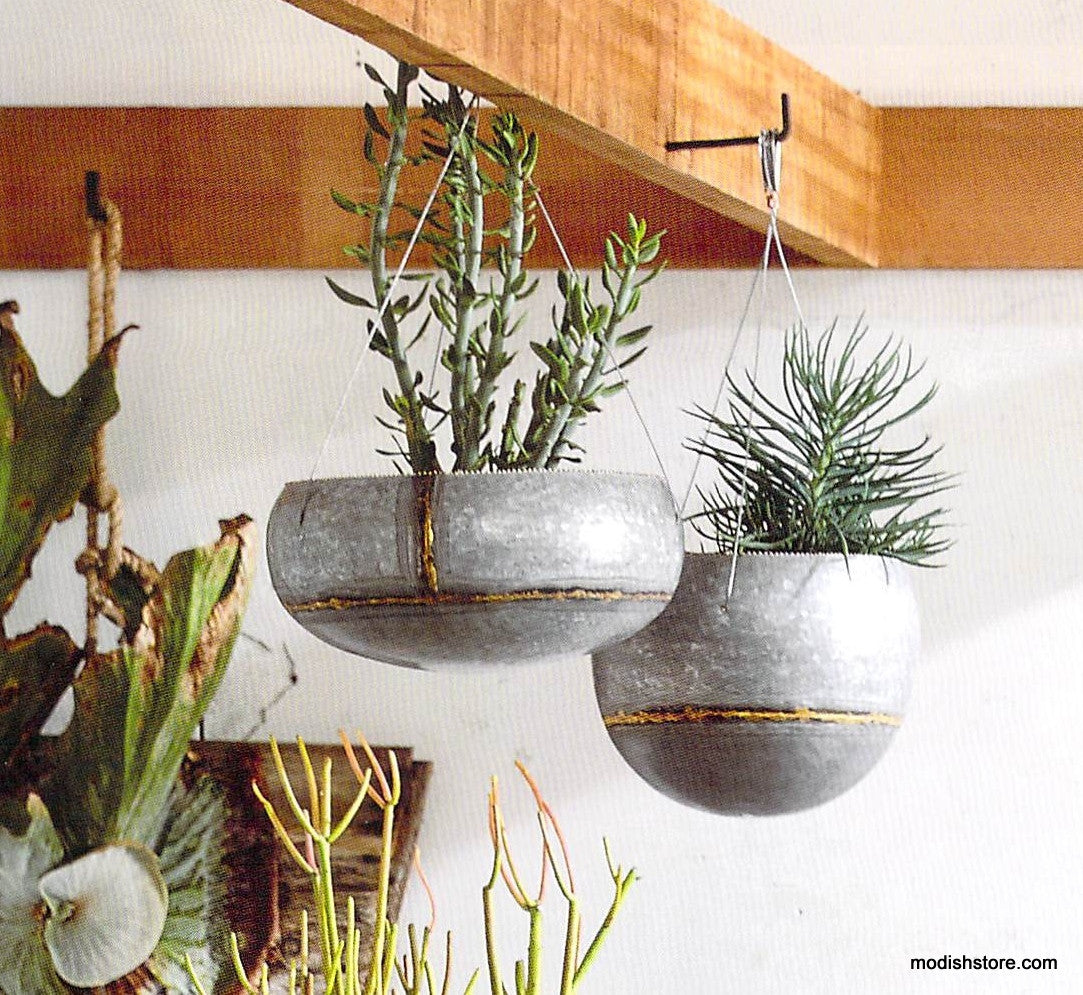 hanging plants on patio wall Braza Tall / Wide Hanging Planters – Modish Store