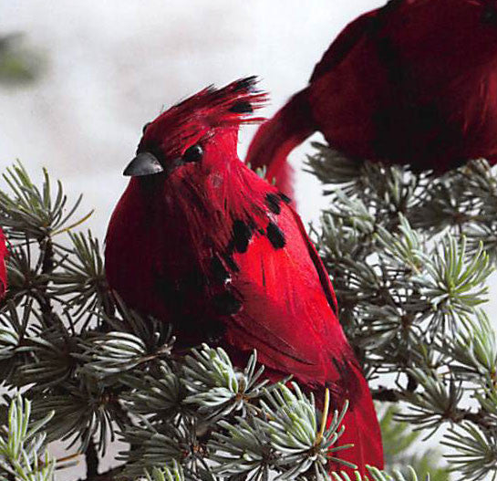 Roost Cardinal & Quail Ornaments