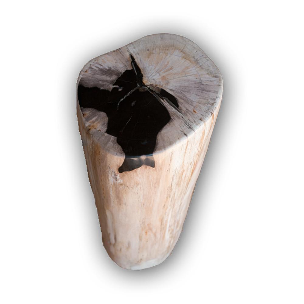 Petrified Wood Log Stool PF-2103 by Aire Furniture | Petrified Wood Stools | Modishstore - 2