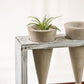 Garden Age Supply Trio Succulent Cones Set of 4 | Planters, Troughs & Cachepots | Modishstore-2