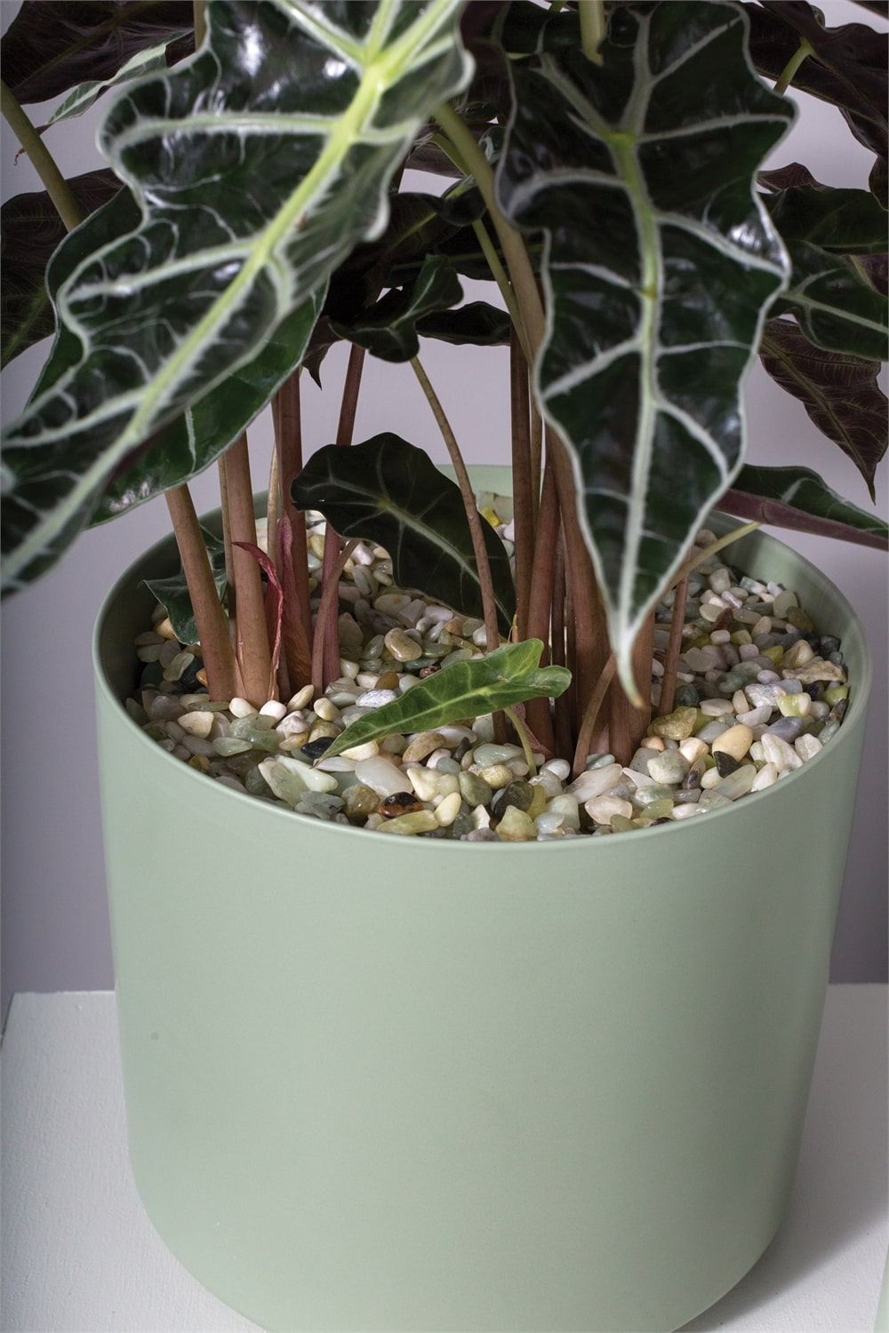 Natural Stones Set Of 4 By Accent Deocr | Minerals and Stones | Modishstore - 7