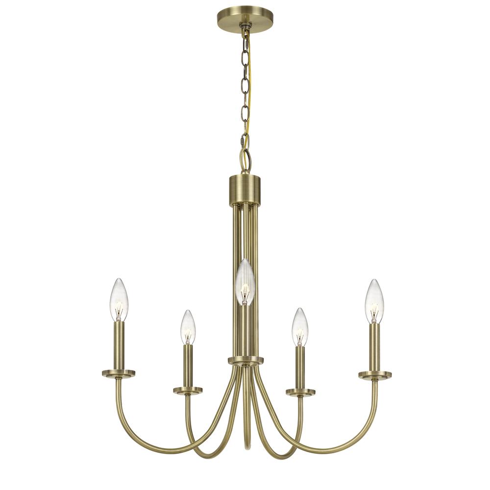 60W X 5 Spiez Metal Chandelier By Cal Lighting | Chandeliers | Moidshstore - 3