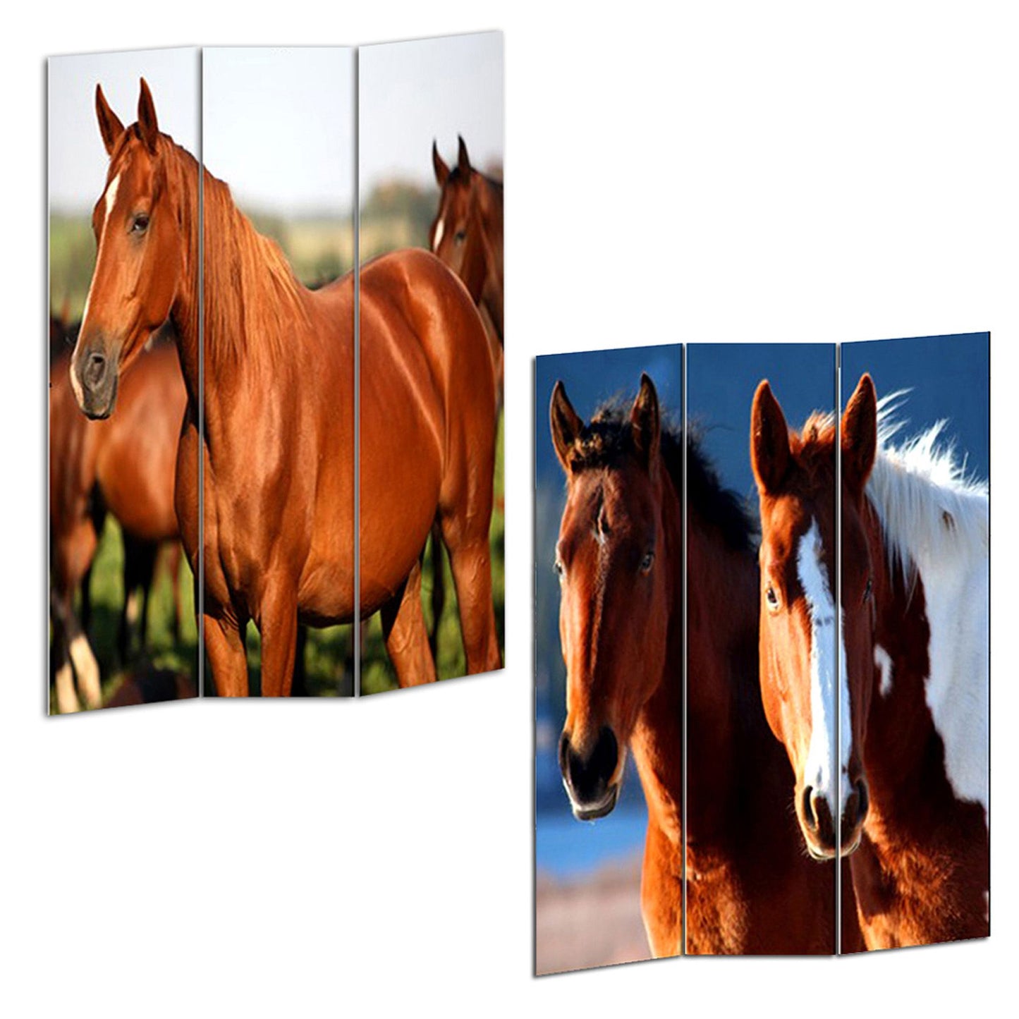 Multi Color Wood Canvas Horse Screen By Homeroots | Room Dividers | Modishstore - 3