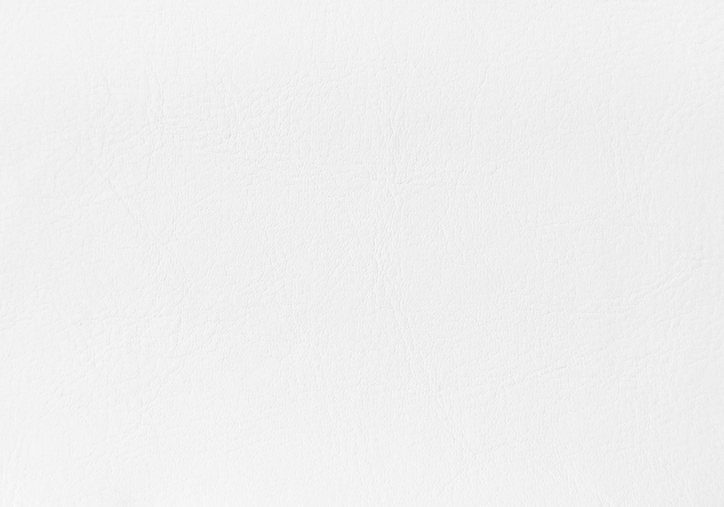 White Foam Solid Wood Leather Look Twin Size Bed By Homeroots | Beds | Modishstore - 4