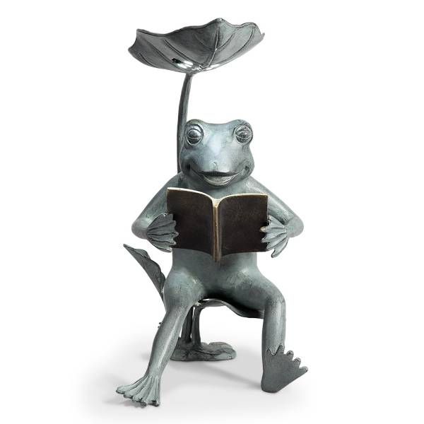 Reading Frog Birdfeeder with Led Light By SPI Home | Animals & Pets | Modishstore-5