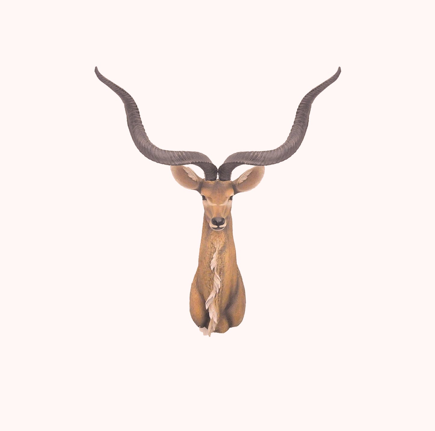 Antelope Head Wall Decorative By Homeroots | Animals & Pets | Modishstore - 6