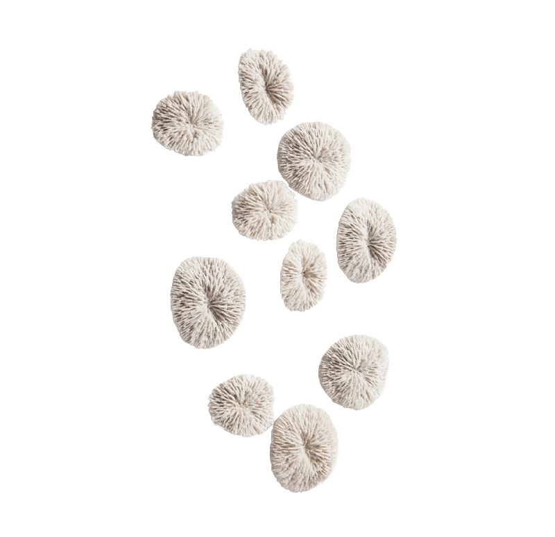 Gold Leaf Design Group Radica Wall Play - Set Of 10 | Wall Decor | Modishstore - 3