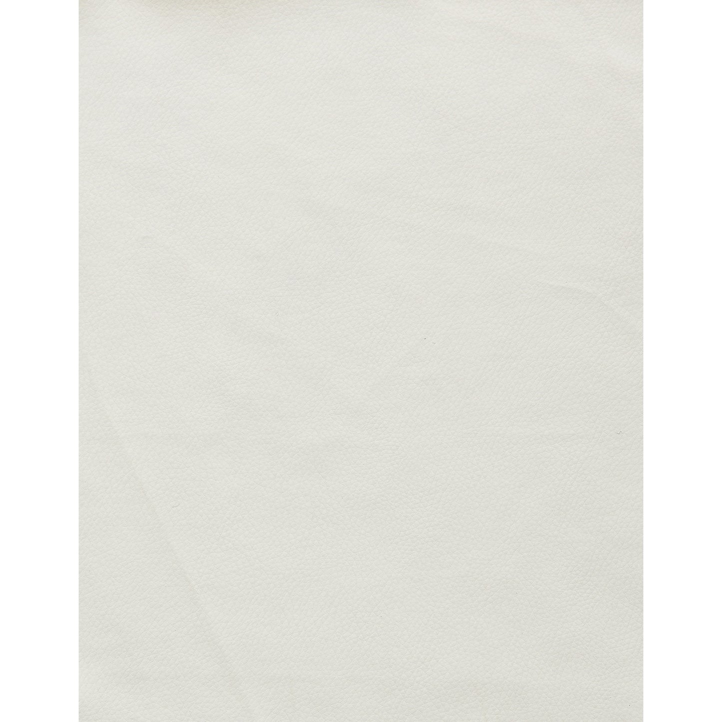 Set Of 2 Modern Black Dining Chairs With Horse Shoe Style Metal Base By Homeroots | Dining Chairs | Modishstore - 8